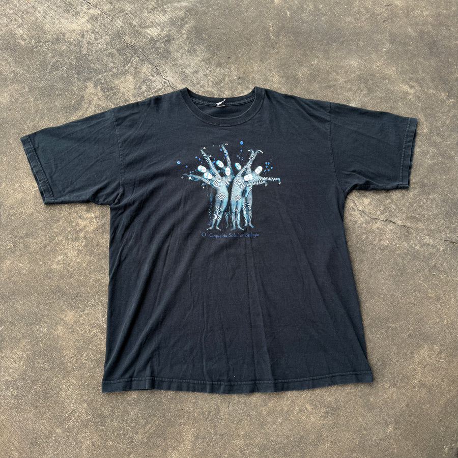 O Cirque Du Soleil At Bellagio